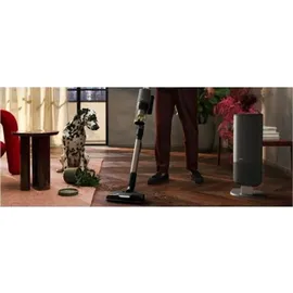 AEG Ultimate 8000 Akku-Staubsauger inkl. Absaugstatioin AP83A25XNX