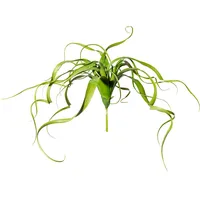 Creativ green Kunstranke CREATIV GREEN "Tillandsien-Hänger", grün, H:30cm Ø:35cm, Kunststoff, Kunstpflanzen