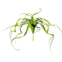 Creativ green Kunstranke CREATIV GREEN "Tillandsien-Hänger", grün, H:30cm Ø:35cm, Kunststoff, Kunstpflanzen