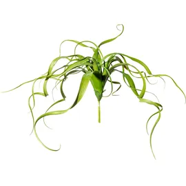 Creativ green Kunstranke CREATIV GREEN "Tillandsien-Hänger", grün, H:30cm Ø:35cm, Kunststoff, Kunstpflanzen