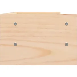 vidaXL Monitorständer 50x24x16 cm Massivholz Kiefer