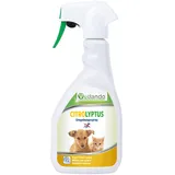 Vetlando Citrolyptus Umgebungsspray 500 ml - Gegen Flöhe, Läuse, Milben, etc.