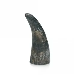 Viking Whole Horn - S