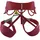 Edelrid Klettergurt Rhubarb Red