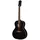 Epiphone Blues King Studio Ebony