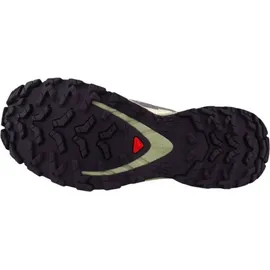 Salomon XA Pro 3D V9 GTX Schuhe (Größe 38.5 - grau)