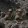 adidas Minecraft Terrex Ax4r Wanderschuhe - Cardboard / Ftwr White / Semi Impact Orange - EU 39 1/3