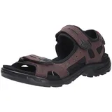 ECCO Offroad Herren braun 42