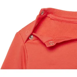 adidas Badge Of Sport French Terry Set Bright Red / White 80