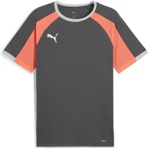 Puma IndividualLIGA grau M