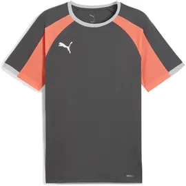 Puma IndividualLIGA grau M