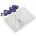 Blumtal Blumtal Premium Molton Matratzenschoner 180x200cm aus Baumwolle im 2er Set Zertifizierte Matratzenauflage Atmungsaktiver Matratzenschutz und Matratzenunterlage