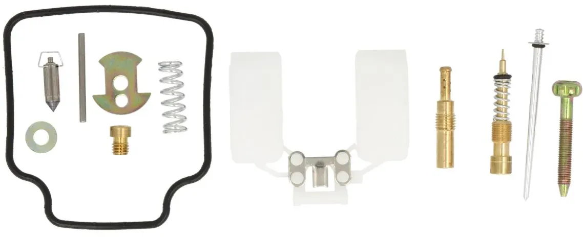 Carburateur INPARTS IP000479