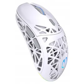 endorfy LIV Wireless Onyx White