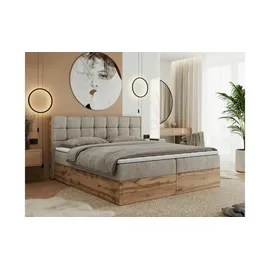 MKS Albero 1 200 x 200 cm H3 Beige
