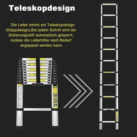 DayPlus Alu Teleskopleiter 3,2M Klappleiter 3 Stufen