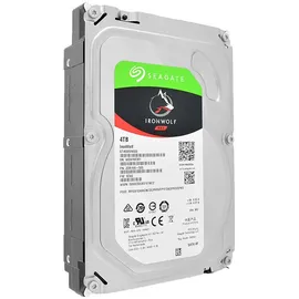 Seagate IronWolf 4 TB 3,5" ST4000VN008