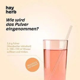 hay herb Kollagen Aufbau Komplex Pulver 168 g