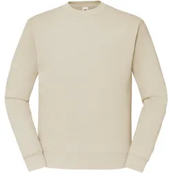 Sweatshirt, im unifarbenen Design, Gr. M (48/50), natur, , 71268617-M