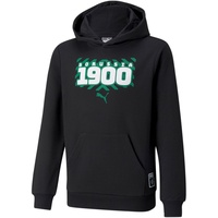 Puma Borussia Mönchengladbach ftblCORE Kinder Hoodie 764167-03-116