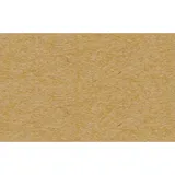 Buntpapierfabrik Ludwig Bähr Tonkarton 220g/qm A4 VE=100 Bogen hellbraun