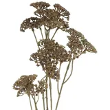 Gasper Schafgarbe - Achillea Braun 73 cm - Kunstblumen