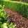 Floragard Pinien-Rinde mittel 2 x 60 l