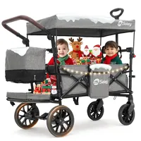 Salcar Bollerwagen Faltbar mit Dach grau