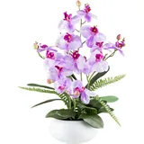 Kunstorchidee Orchidee Phalaenopsis, Creativ green, Höhe 55 cm, mit Farnzweigen lila