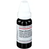 DHU-Arzneimittel GALEGA OFFIC URT
