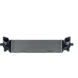 mahle CI 626 000P