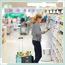 Relaxdays Einkaufstrolley grau 51 x 47 x 12 cm