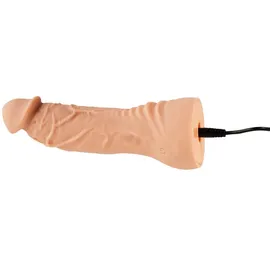 You2Toys 4-teiliges Strap-on-Set inklusive RC-Vibrator und 2 Dildos, hautfarben hell
