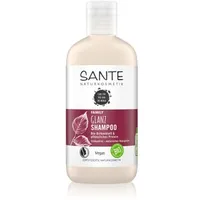 SANTE Glanz Shampoo Bio-Birkenblatt & Pflanzliches Protein 250 ml