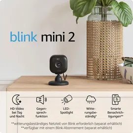 Blink Mini 2 Schwarz