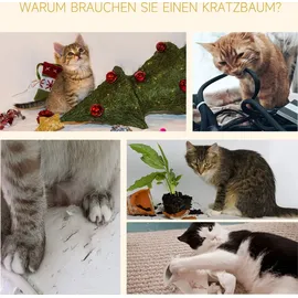 PawHut Kratzbaum Deckenhoch höhenverstellbar, stabiler Katzenbaum mit Sisalsäulen, Katzen Kletterbaum, Grau, 40 x 34 x 230-260 cm