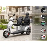 ECONELO E-Seniorenmobil Billy 2.0 3-Rad 1000 Watt Komfort-Sitz Silber/Grau