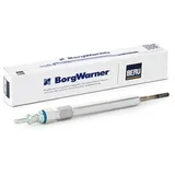 BorgWarner (Beru) Glühkerze GN1002
