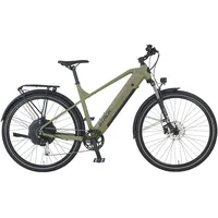 Prophete Stack 2.0 29 Zoll RH 29 cm grün