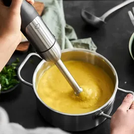 Springlane Sam Edelstahl Stabmixer Set 800 Watt