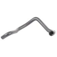 VAICO Kühlerschlauch V10-2809 für Audi A4 Skoda Superb I