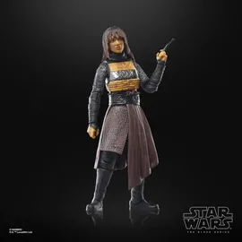 Hasbro Acolyte Mae Assassine Actionfigur 15 cm - Lila/Schwarz