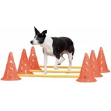 Pawise Dog Activity Set 23 x 32 cm