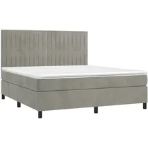 vidaXL Boxspringbett mit Matratze & LED Hellgrau 160x200 cm Samt