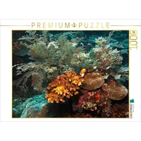 Calvendo Puzzle Korallen 1000 Teile Puzzle quer | 1000