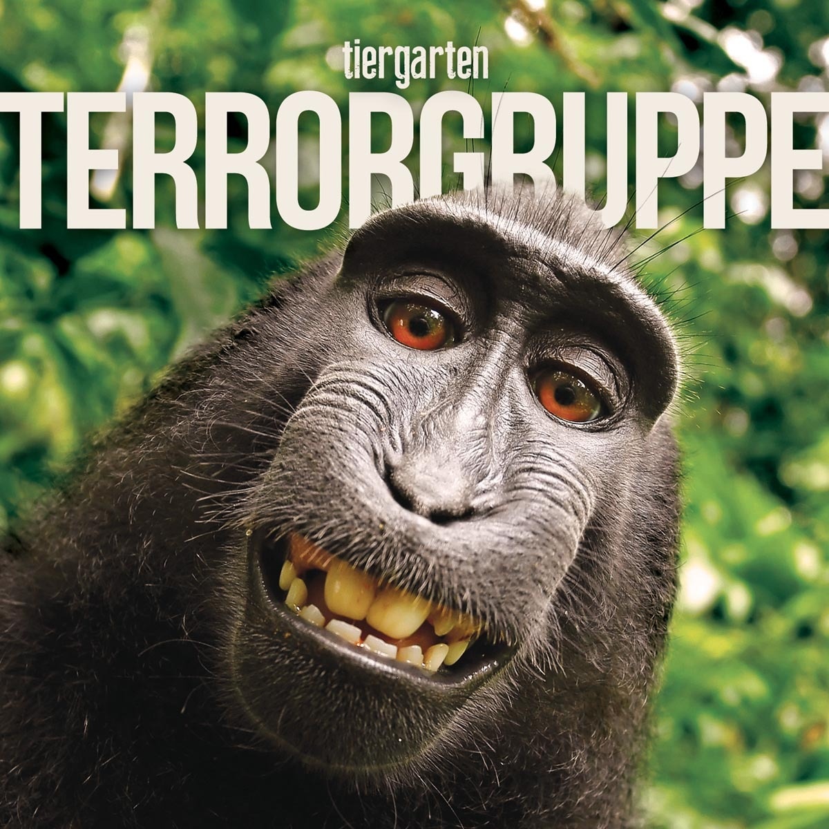 Tiergarten - Terrorgruppe. (CD)
