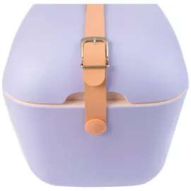 POLARBOX Pop 20 l