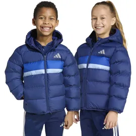 adidas Daunenjacke Dark Blue/Team Royal Blue/Glow Blue 110