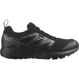 Salomon Wander GTX Herren Black/Pewter/Frost Gray 46 2/3