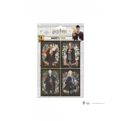Magnete Harry Potter - Portraits (4 Stck)